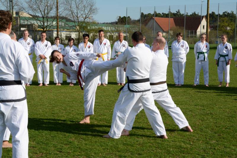 Zweijähriges Bestehen (14/04/2018)