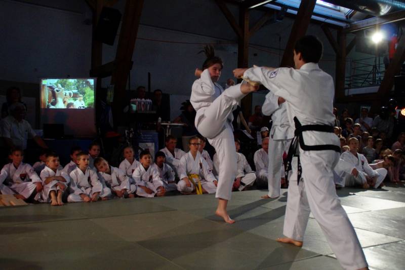 Fit in Neumarkt 2017