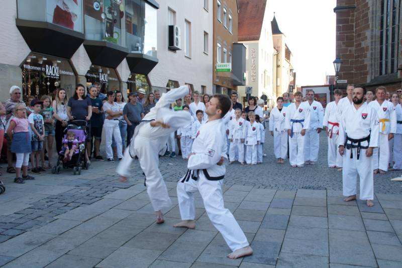 Altstadtfest 2017