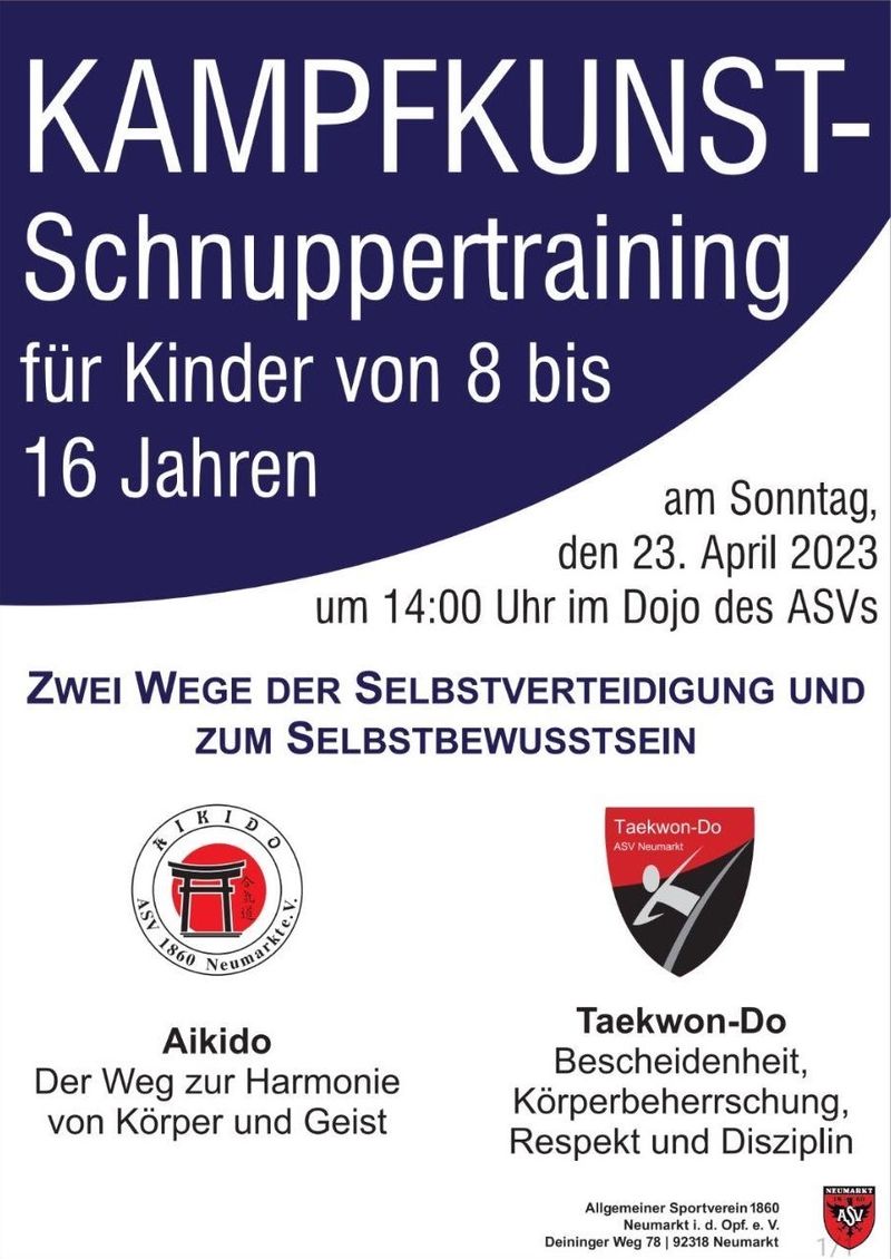Kampfkunst-Schnuppertraining